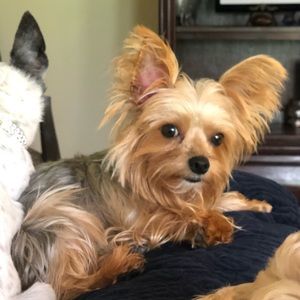 Meet your Posher, Linda